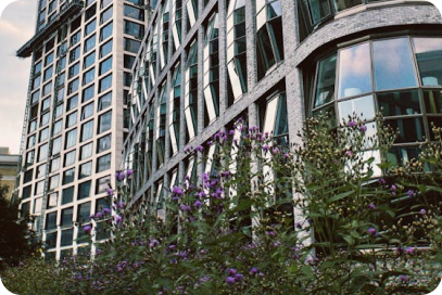 Fixed asset management